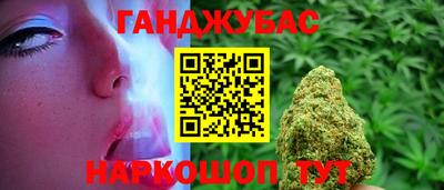 мдпв Гагарин