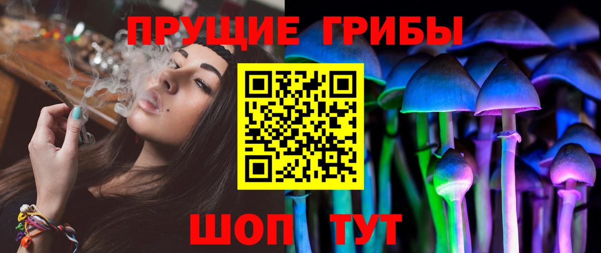 Псилоцибиновые грибы Psilocybine cubensis Горячий Ключ